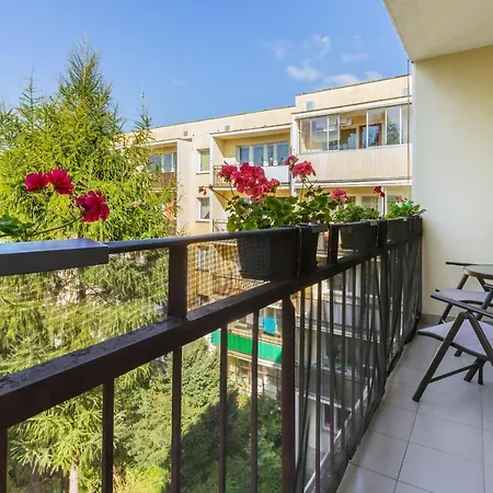 Spacious Family In By Renters *