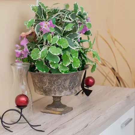 Spacious Family In By Renters *