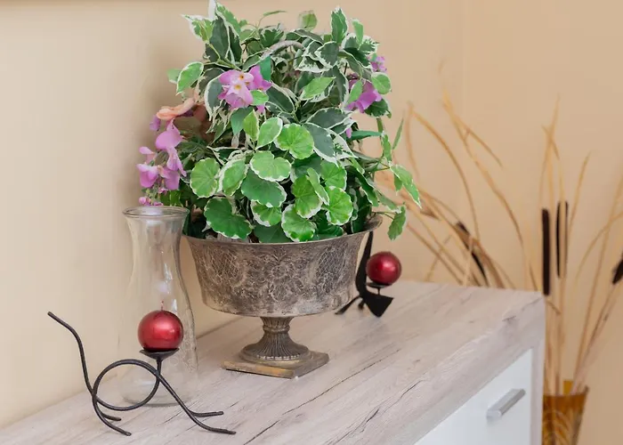 Spacious Family In By Renters *